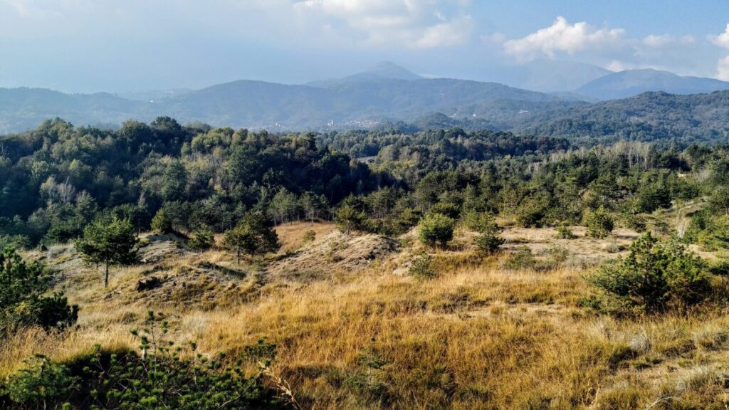 IMG 20181014 163633 scaled 1