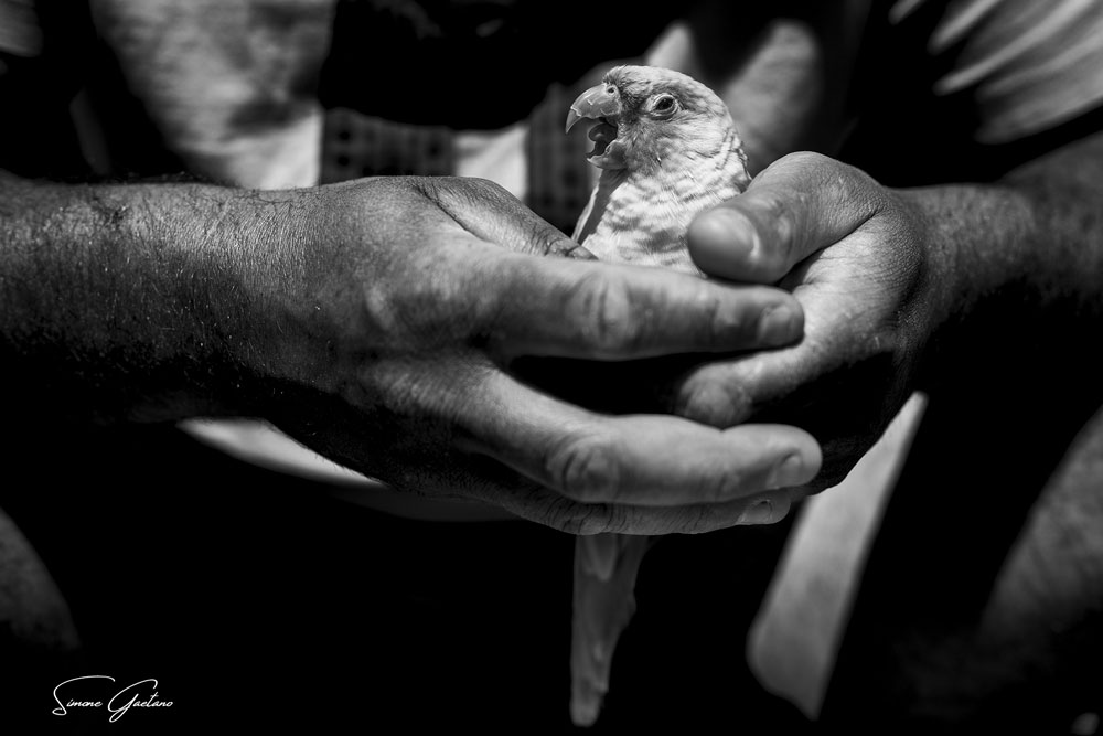 2025 05 24 14 16 22 270